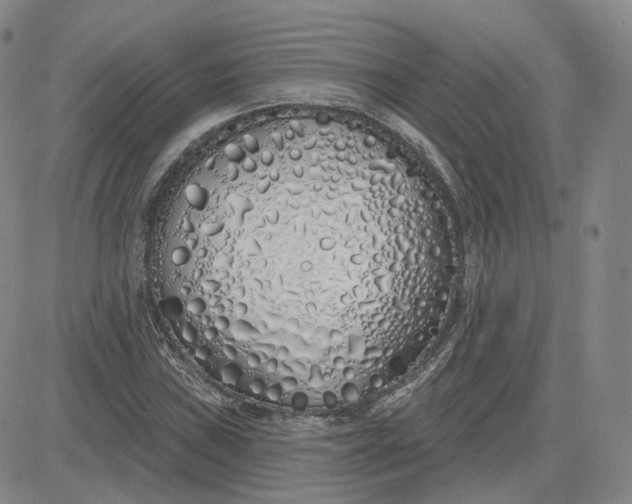 X0000083591019200702231715