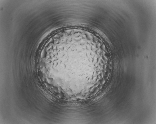 X0000083591023200702231715