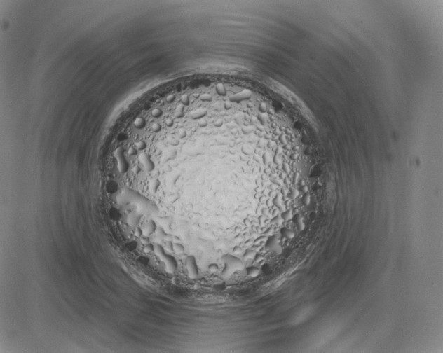 X0000083591027200702231715