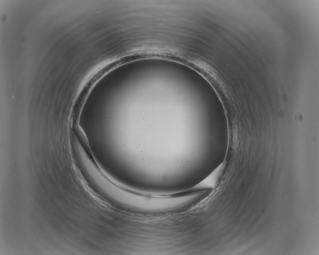 X0000083591030200702231715
