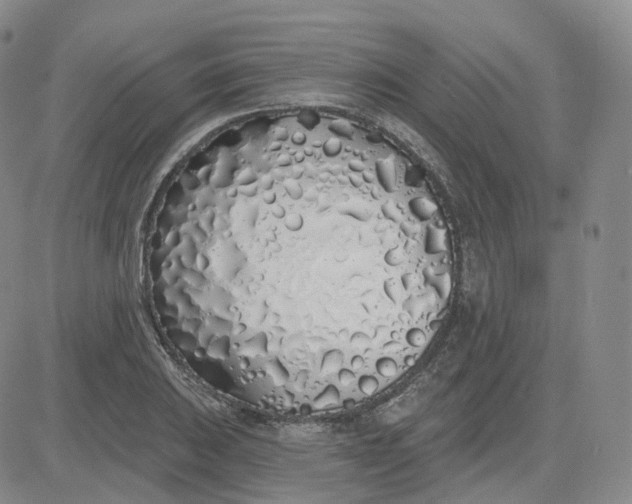 X0000083591031200702231715