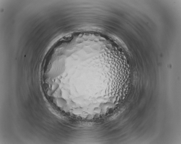 X0000083591039200702231716