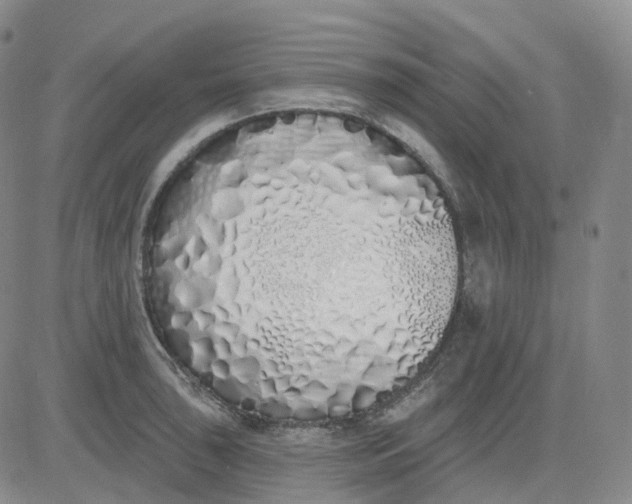 X0000083591043200702231716