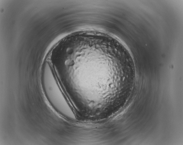 X0000083591045200702231716
