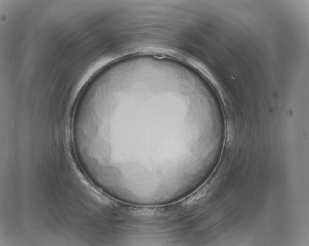 X0000083591048200702231716