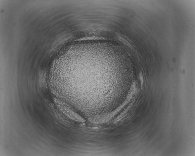 X0000083591060200702231715