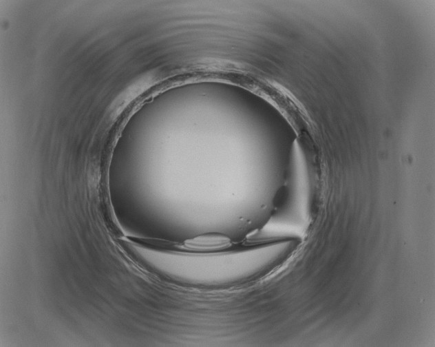 X0000083591065200702231715