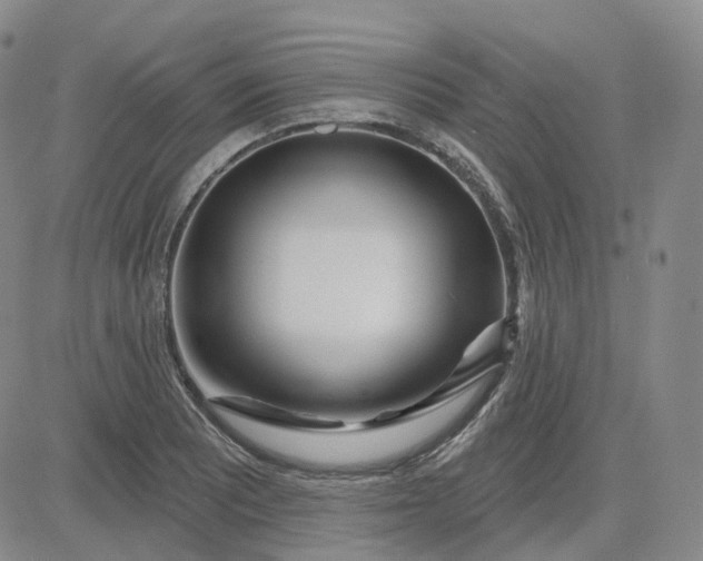 X0000083591081200702231715