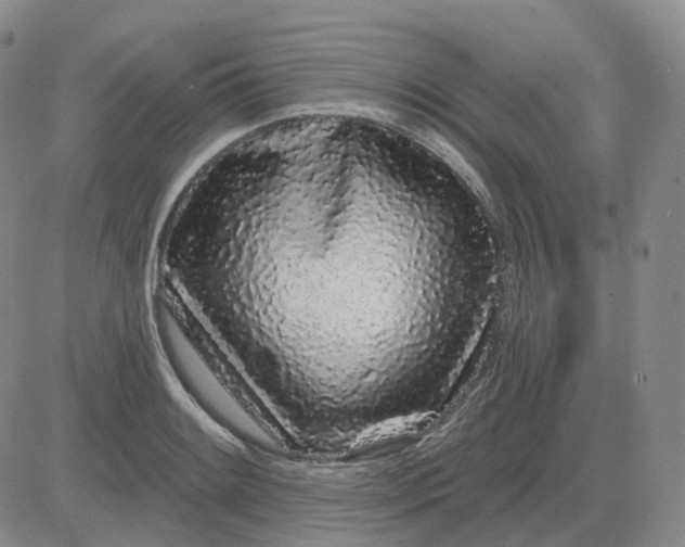 X0000083591084200702231715
