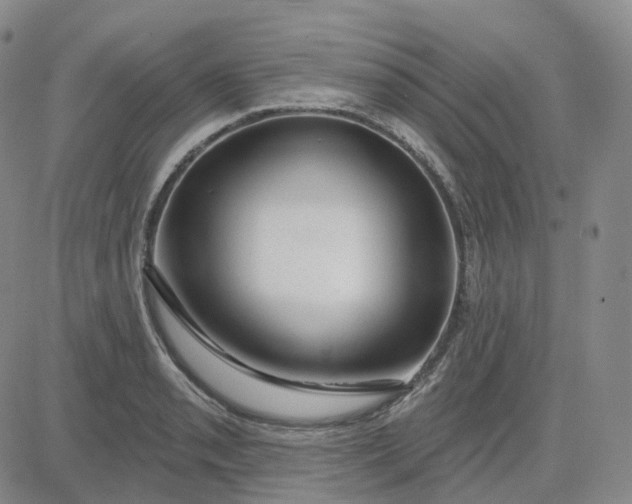 X0000083591085200702231715