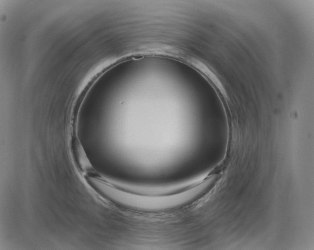 X0000083591093200702231715