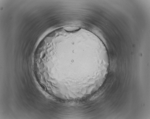 X0000083591099200702231714