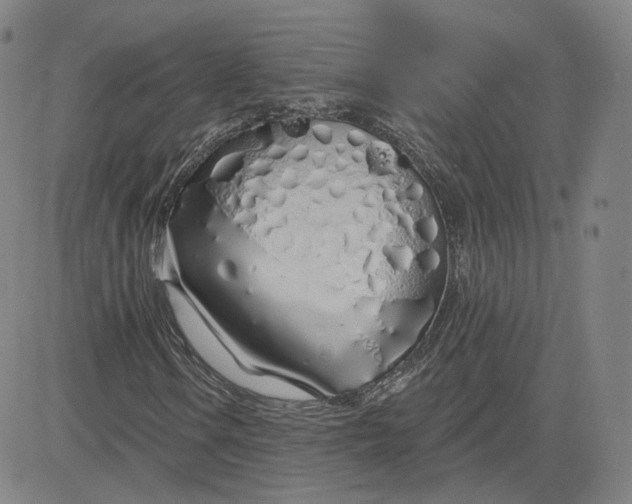 X0000083591106200702231714