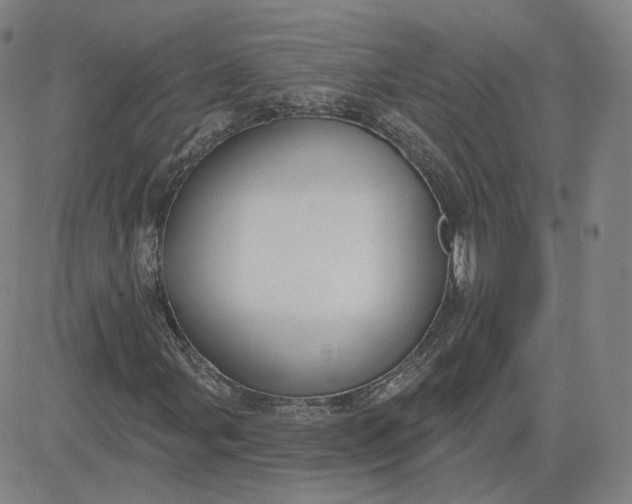 X0000083591107200702231714