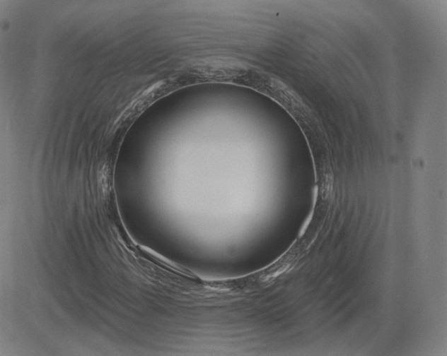 X0000083591108200702231714