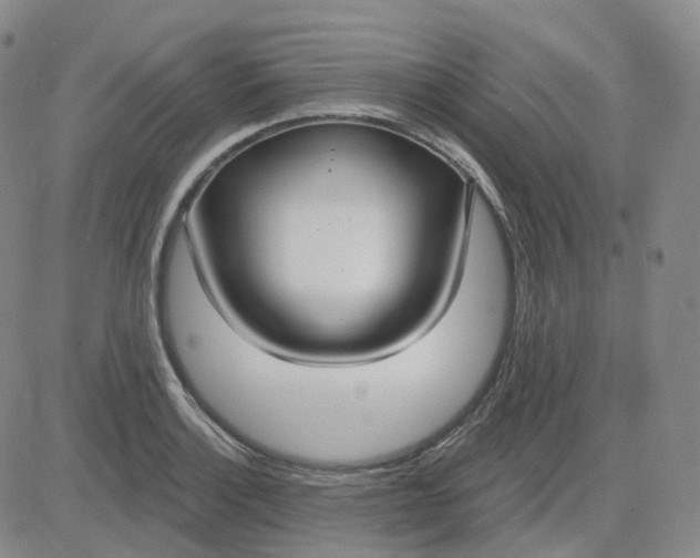 X0000083591132200702231714