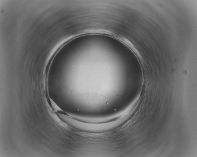 X0000083591140200702231714