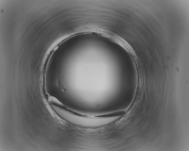 X0000083591144200702231714