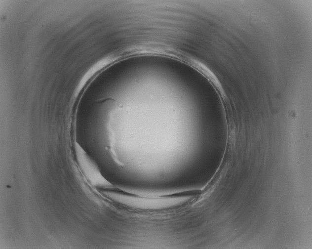 X0000083591146200702231714