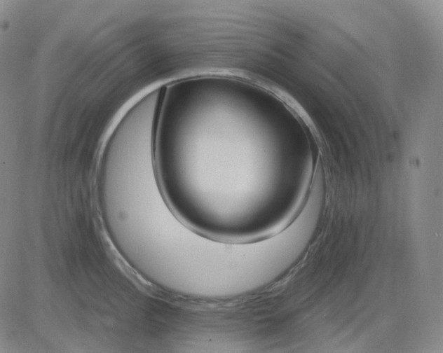 X0000083591148200702231714