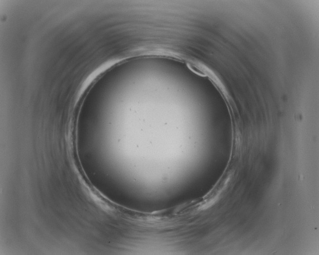X0000083591149200702231714