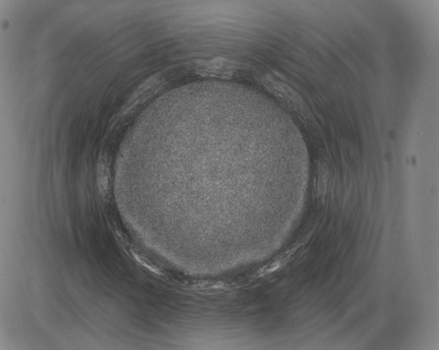 X0000083591154200702231713
