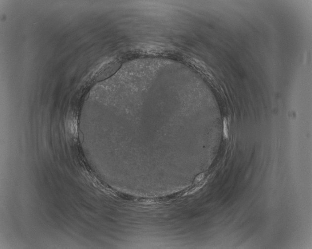 X0000083591155200702231713