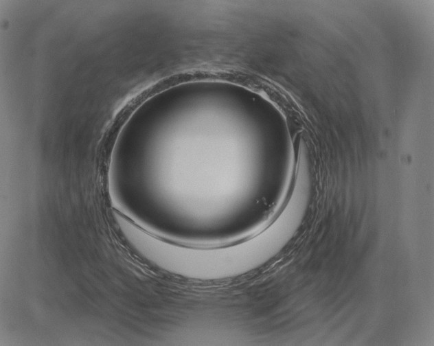 X0000083591160200702231713