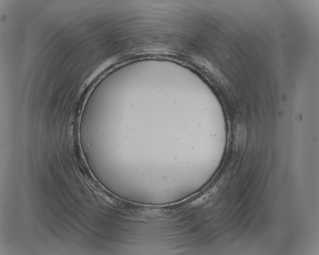 X0000083591162200702231713