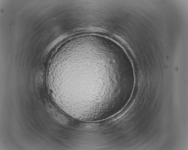 X0000083591163200702231713