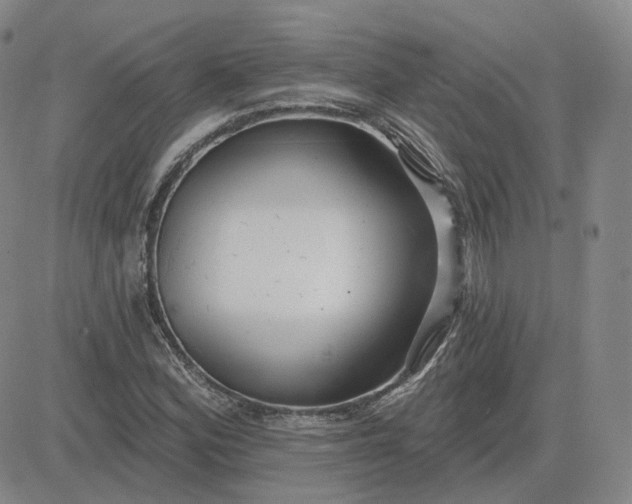 X0000083591164200702231713