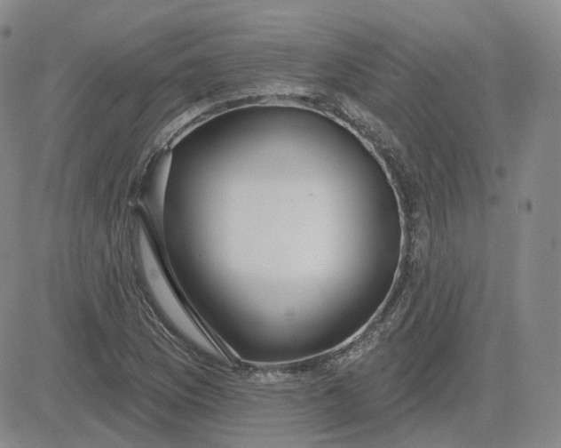 X0000083591169200702231713