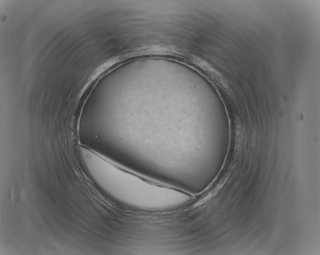X0000083591170200702231713