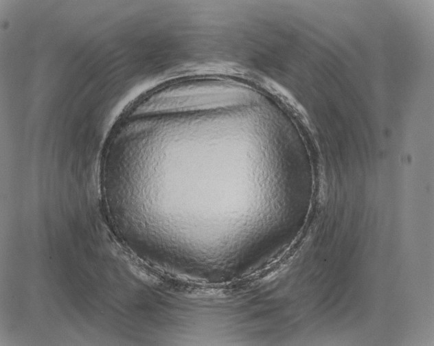 X0000083591174200702231713