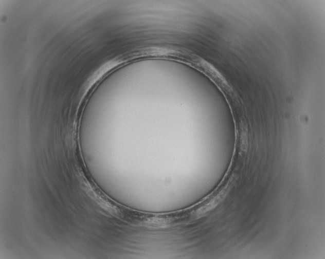 X0000083591178200702231713
