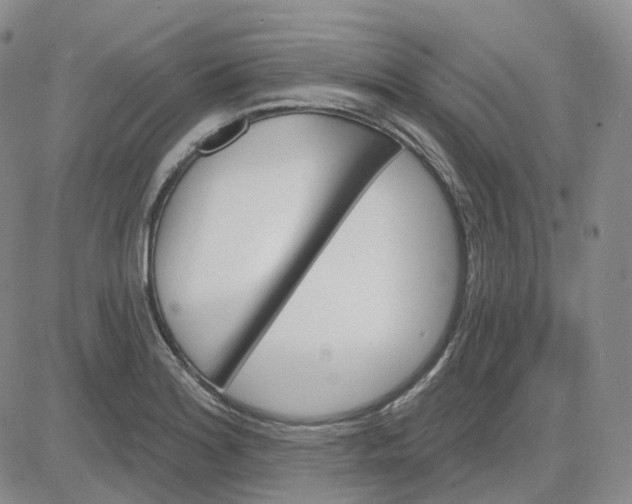 X0000083591180200702231713