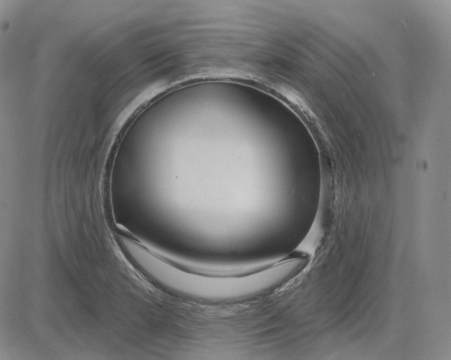 X0000083591181200702231713