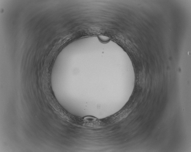 X0000083591201200702231712