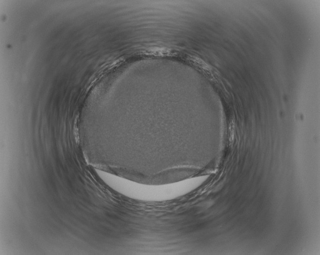 X0000083591202200702231712