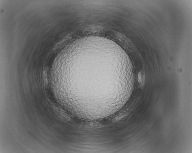 X0000083591203200702231712