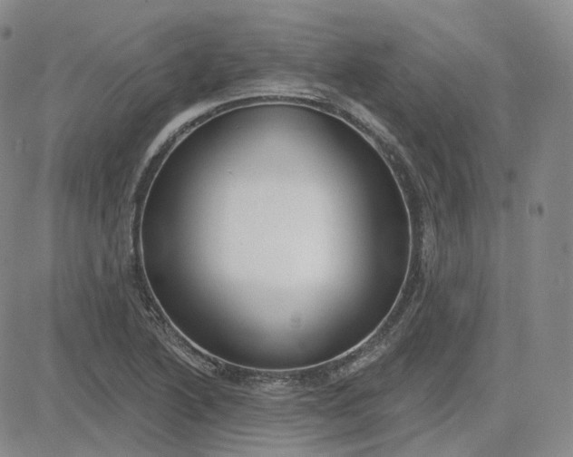 X0000083591222200702231712