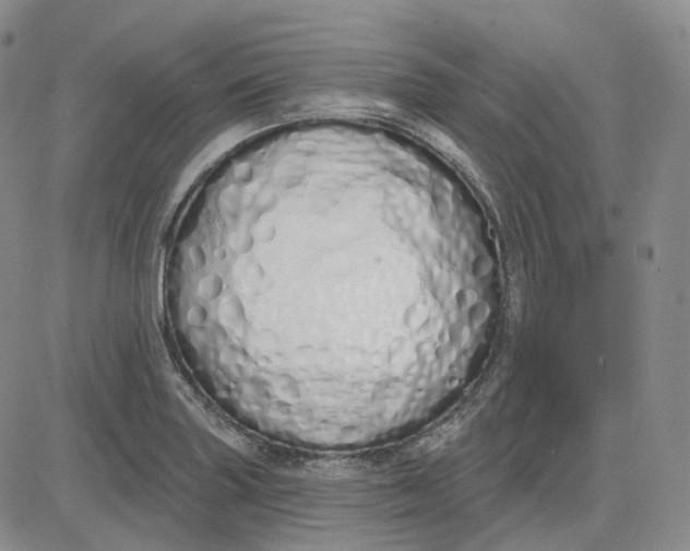 X0000083591227200702231712