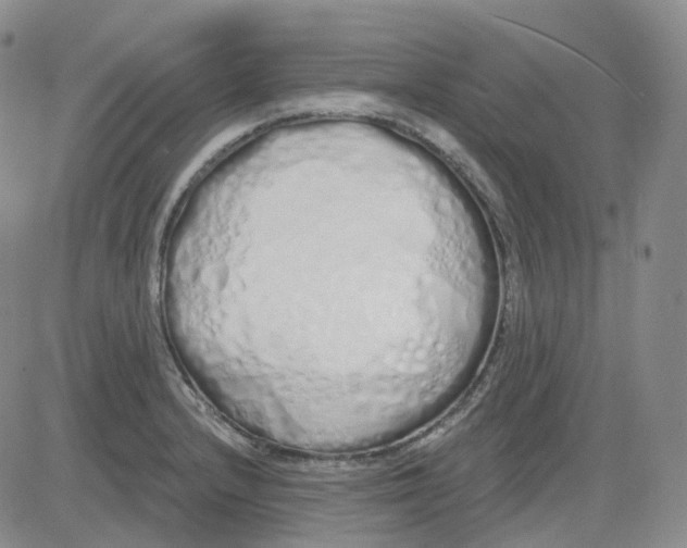 X0000083591232200702231712