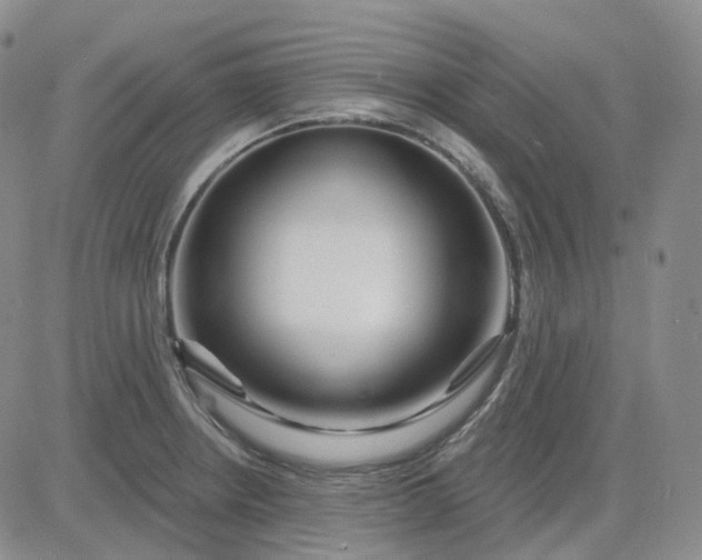 X0000083591234200702231712