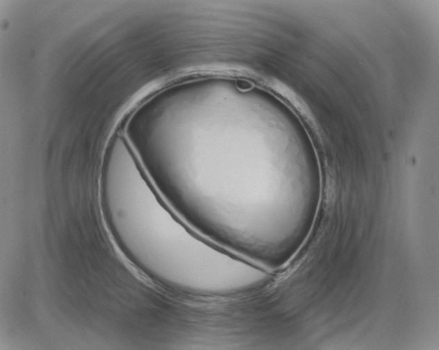X0000083591237200702231713