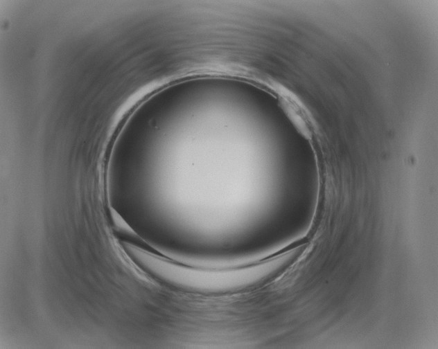 X0000083591238200702231713