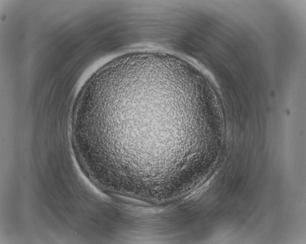 X0000083591239200702231713
