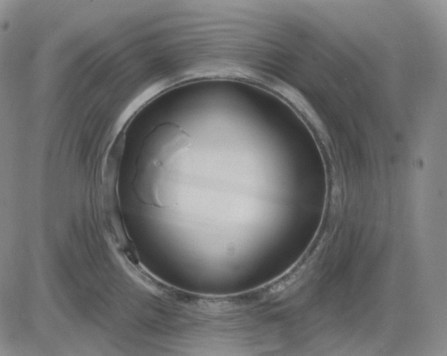 X0000083591242200702231713