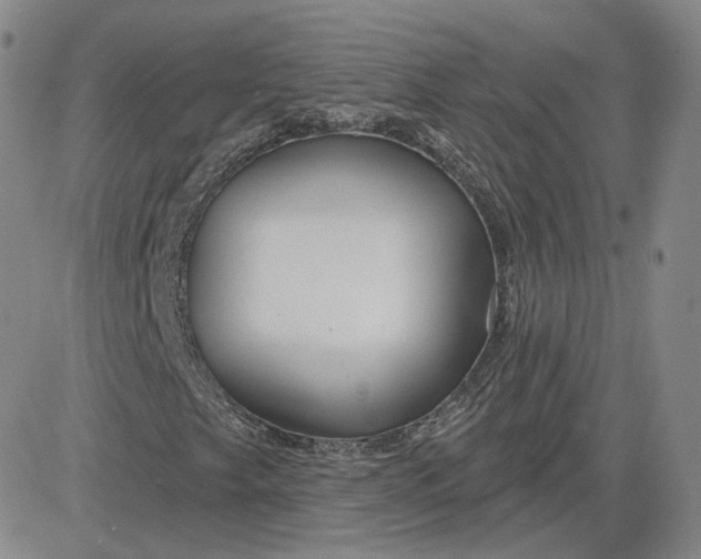 X0000083591249200702231712