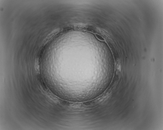 X0000083591252200702231712